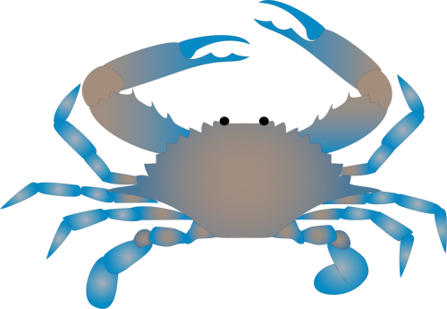 Maryland blue crab