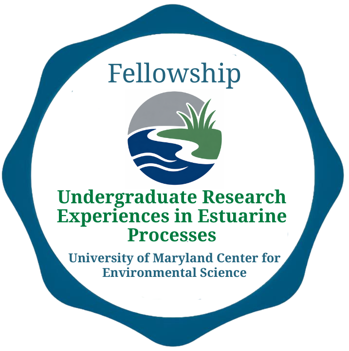 Undergraduate Research Experiences in Estuarine Processes