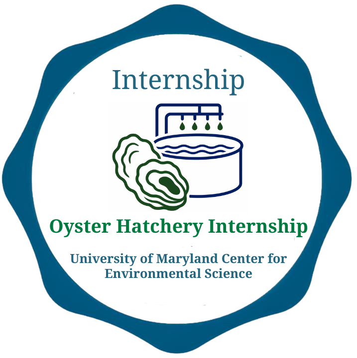 Oyster Hatchery Internship