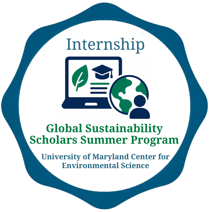 Global Sustainability Scholars
