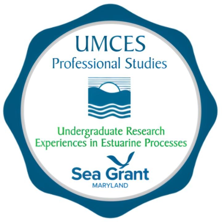 Undergraduate Research Experiences in Estuarine Processes