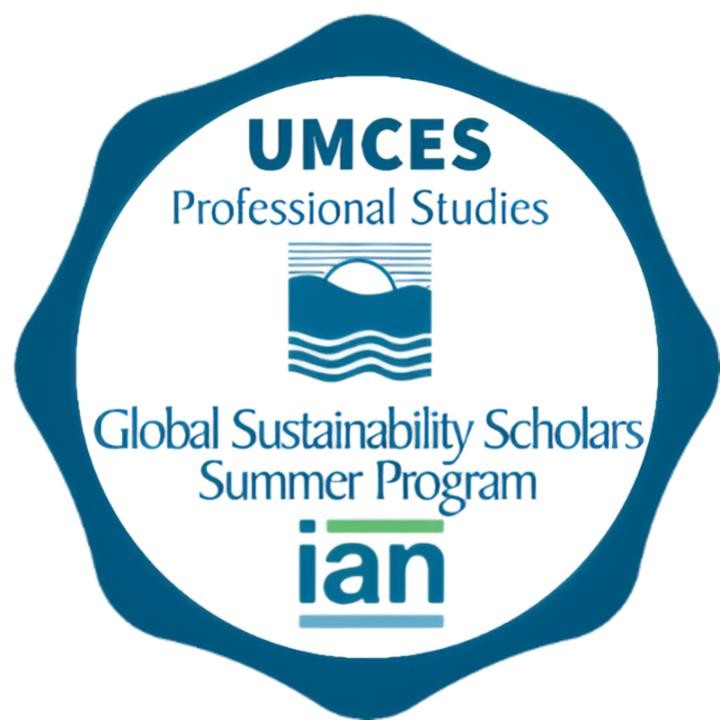 Global Sustainability Scholars