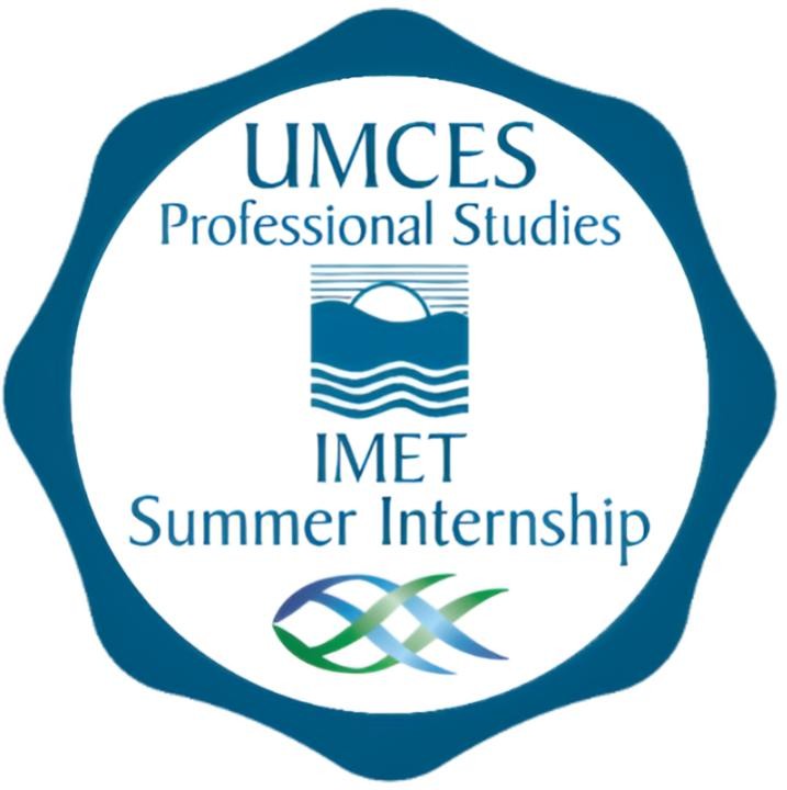 IMET Summer Internship