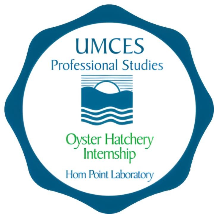 Oyster Hatchery Internship